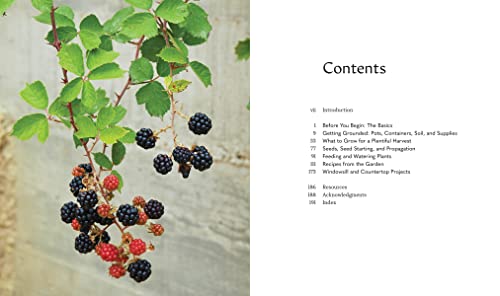 Tiny Space Gardening: Growing Vegetables, Fruits, and Herbs in Small Outdoor Spaces (with Recipes)
