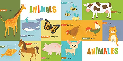 First 100 Words in English and Spanish (Lil' Libros)