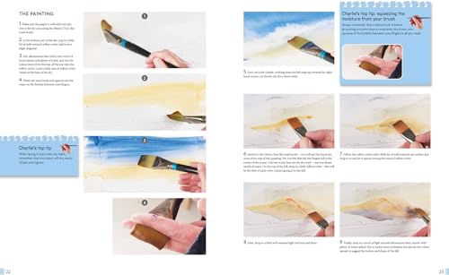 Anyone Can Paint Coastal Landscapes: 6 easy step-by-step projects to get you started