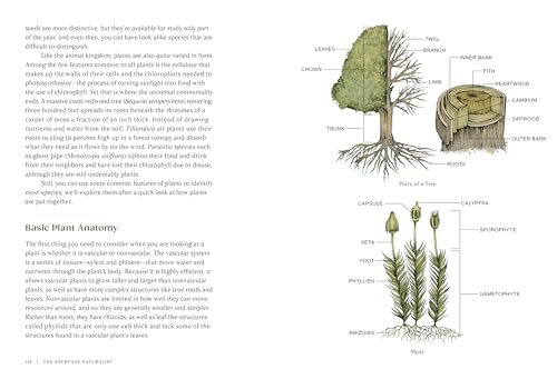 The Everyday Naturalist: How to Identify Animals, Plants, and Fungi Wherever You Go