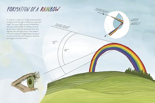 Everyday Wild: An Illustrated Guide for Mindfulness in Nature