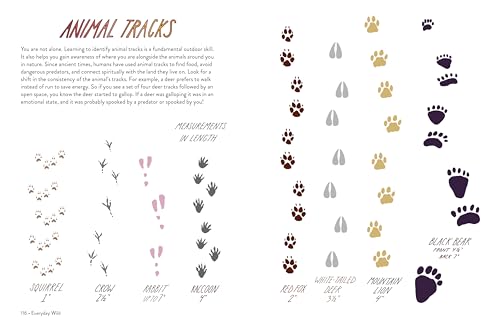 Everyday Wild: An Illustrated Guide for Mindfulness in Nature