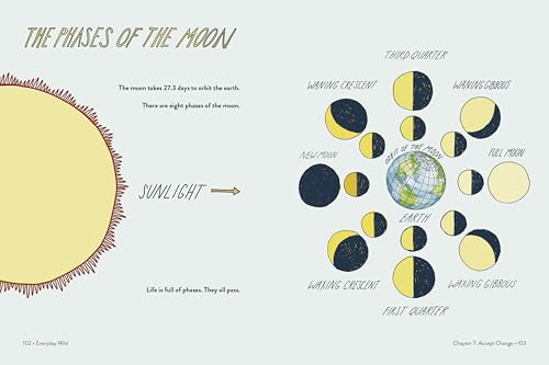 Everyday Wild: An Illustrated Guide for Mindfulness in Nature