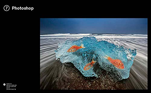 Bryan Peterson Photography School: A Master Class in Creating Outstanding Images