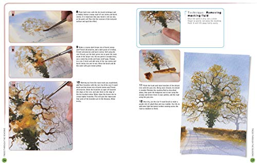 Ready to Paint in 30 Minutes: Trees & Woodlands in Watercolour