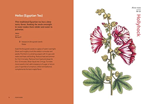 Herbal Handbook: 51 Profiles in Words and Art from the Rare Book and Folio Collections of the New York Botanical Garden