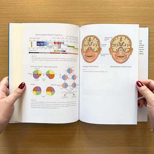 Your Stone Age Brain in the Screen Age: Coping with Digital Distraction and Sensory Overload