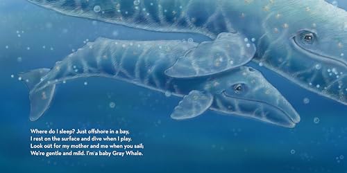 Where Do I Sleep?: A Nature Lullaby