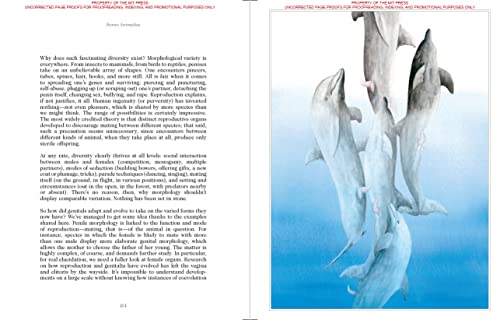 Sexus Animalis: There Is Nothing Unnatural in Nature
