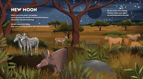 Wild Moon: How the Lunar Phases Light Up Our World