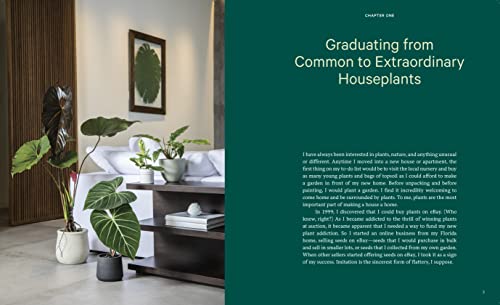Welcome to the Jungle: Rare Tropical Houseplants to Collect, Grow, and Love