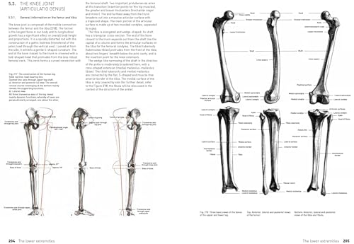 The Complete Guide to Anatomy for Artists & Illustrators