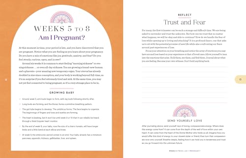 Birthing Mama: Your Companion for a Holistic Pregnancy Journey with Week-by-Week Reflections, Yoga, Wellness Recipes, Journal Prompts, and More