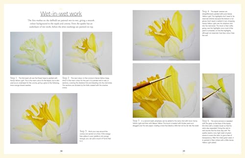 Botanical Watercolours through the Seasons: An all-year-round guide to painting flowers and plants