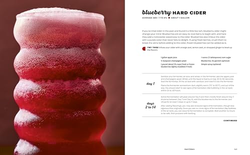 Hard Seltzer, Iced Tea, Kombucha, and Cider: How to Make Your Own Boozy Fermented Drinks