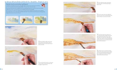 Anyone Can Paint Coastal Landscapes: 6 easy step-by-step projects to get you started