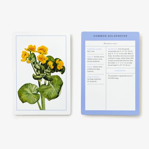 New York Botanical Garden Wildflower Identification Flashcards: 100 Common Wildflowers of North America