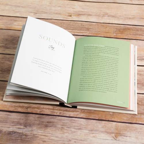 Reimagine Home: Devotions, Recipes, and Tips for Loving Your Home Through Every Season