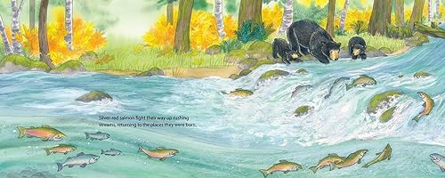 When Fall Comes: Connecting with Nature as the Days Grow Shorter (When Seasons Come)