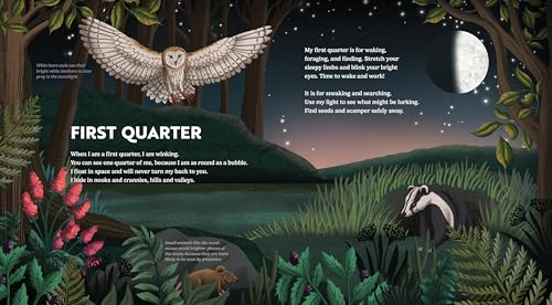 Wild Moon: How the Lunar Phases Light Up Our World