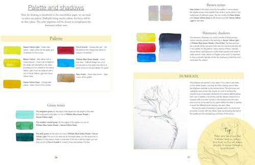 Botanical Watercolours through the Seasons: An all-year-round guide to painting flowers and plants