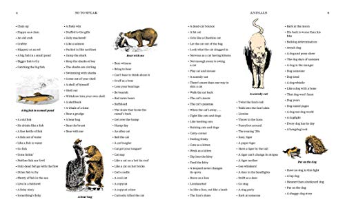 So to Speak: 11,000 Expressions That'll Knock Your Socks Off
