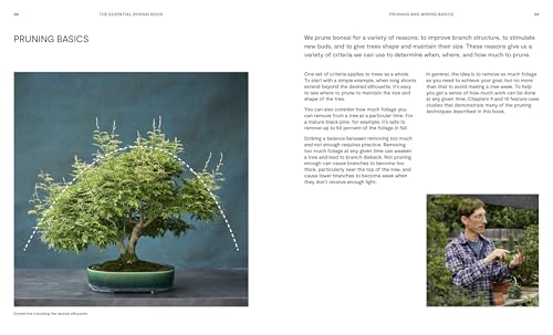 The Essential Bonsai Book: Techniques for Creating Beautiful Trees