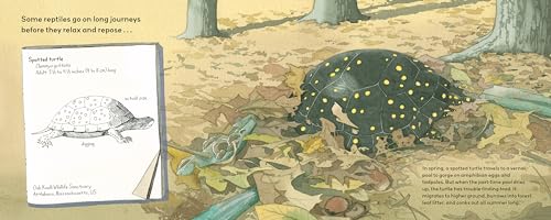Summertime Sleepers: Animals That Estivate