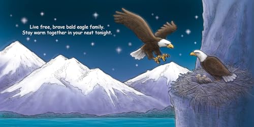 Good Night America (Good Night Our World)