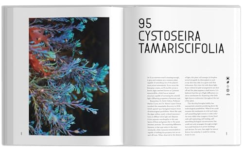 The Universe in 100 Colors: Weird and Wondrous Colors from Science and Nature