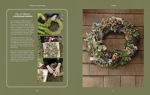 Wonder of the Woodlands: The Art of Seeing and Creating with Nature