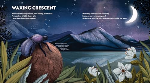 Wild Moon: How the Lunar Phases Light Up Our World