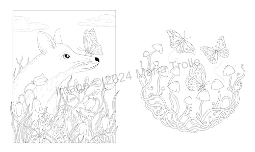 Shooting Star: Coloring Book (Maria Trolle)