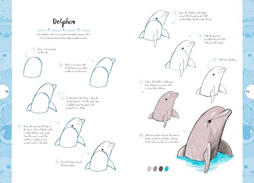 10 Step Drawing: Cute Animals: 'Draw over 50 adorable animals in 10 easy steps