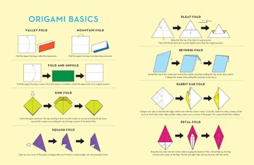 Outside the Box Origami: A New Generation of Extraordinary Folds: Includes Origami Book With 20 Projects Ranging From Easy to Complex