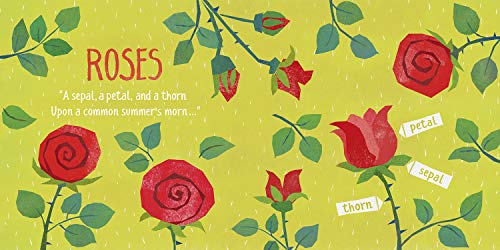 Little Poet Emily Dickinson: In Emily's Garden