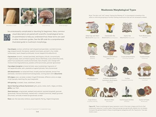 Dr. Fun Guy's Passport to Kingdom Fungi: A Scientist's Guide to the Wild and Wonderful World of Mushrooms, Molds, and More