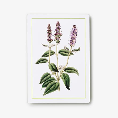 New York Botanical Garden Herb Identification Flashcards: 100 Common Herbs of North America