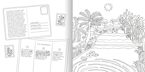 Road Trip! Coloring Book: Color Your Way to National Parks, Landmarks, and Roadside Attractions: A Coloring Book