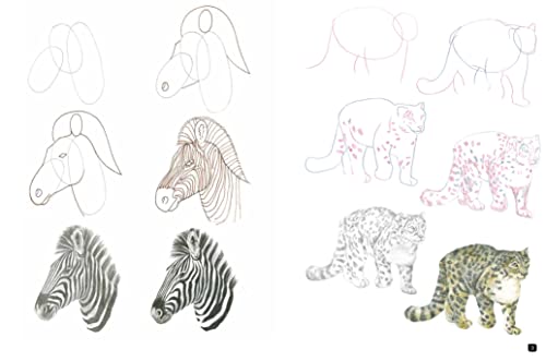 Draw 100: Animals: From basic shapes to amazing drawings in super-easy steps