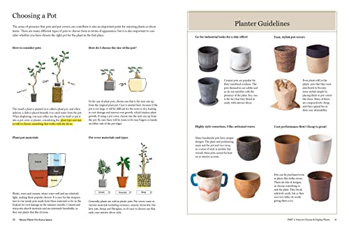 House Plants for Every Space: A Concise Guide to Selecting, Designing and Maintaining Plants in Any Indoor Space
