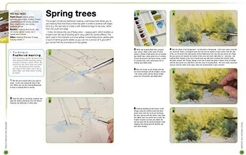 Ready to Paint in 30 Minutes: Trees & Woodlands in Watercolour