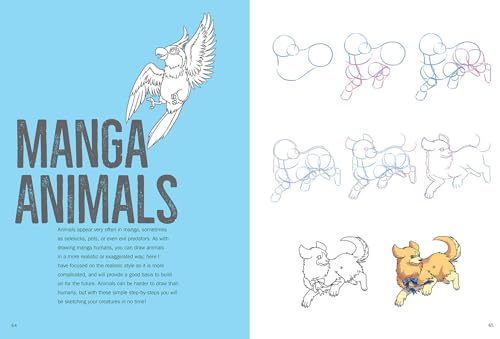 How to Draw Manga in Simple Steps