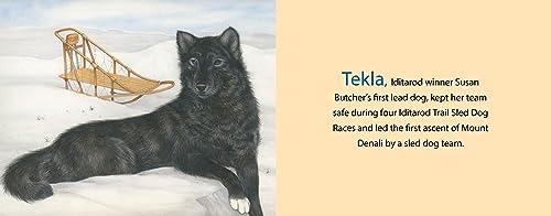 Alaska's Dog Heroes: True Stories of Remarkable Canines (Paws IV)