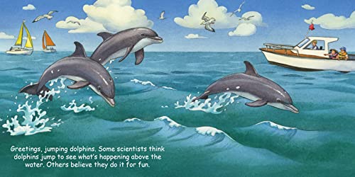Good Night Dolphins (Good Night Our World)