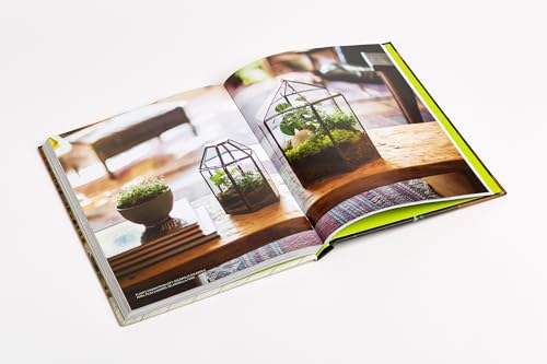 Rooted in Design: Sprout Home's Guide to Creative Indoor Planting