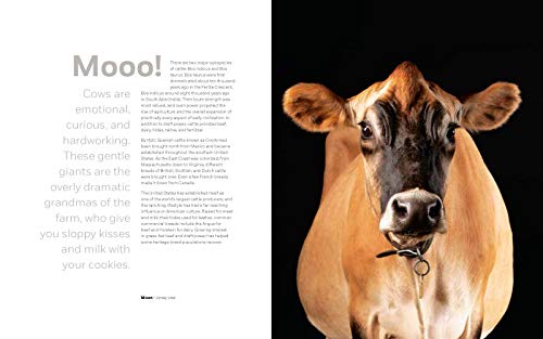 On the Farm: Heritage and Heralded Animal Breeds in Portraits and Stories