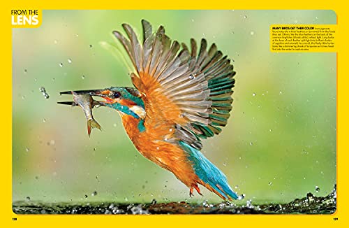 National Geographic Kids Animal Encyclopedia, 2nd Edition: 2,500 Animals with Photos, Maps, and More! (NGK Encyclopedias)