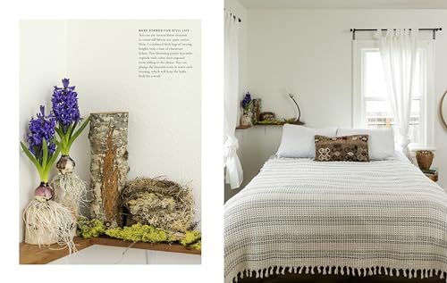 Wonder of the Woodlands: The Art of Seeing and Creating with Nature