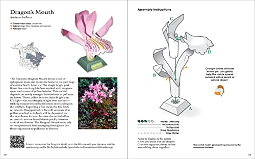 Origami Orchids Kit: 20 Beautiful Die-Cut Paper Models